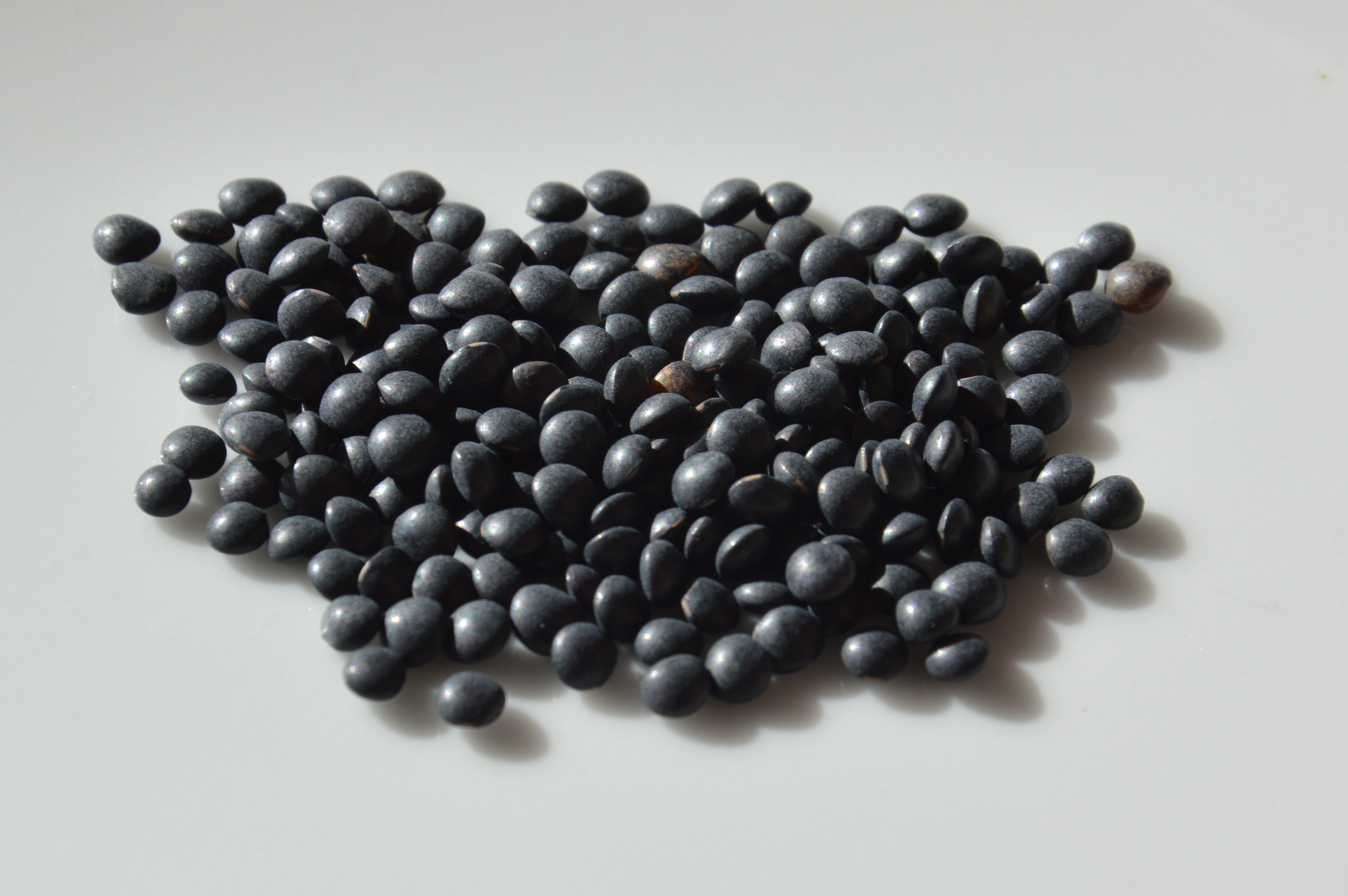 Organic Black Lentils