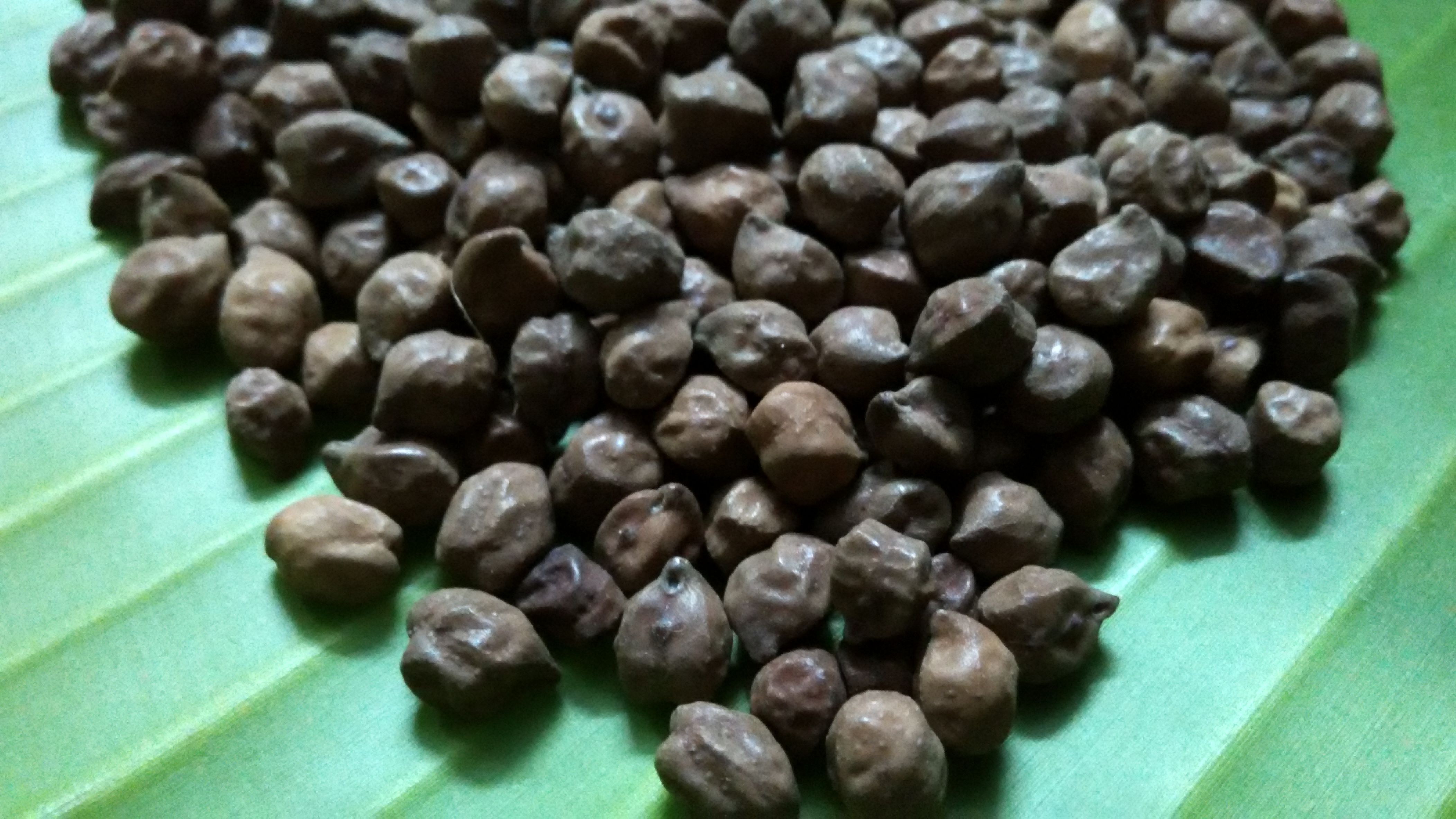 Organic Black Chickpeas