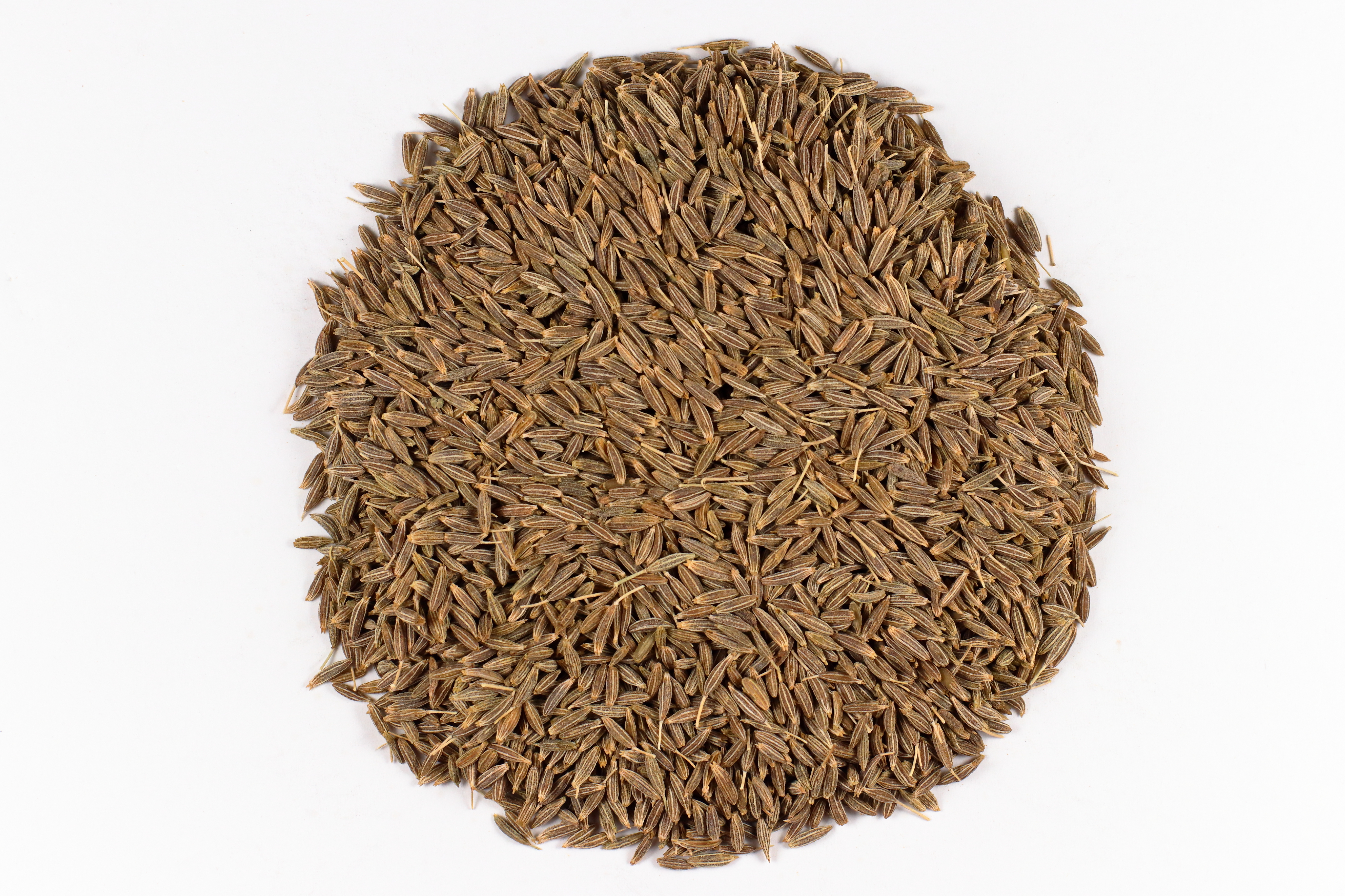Organic Cumin