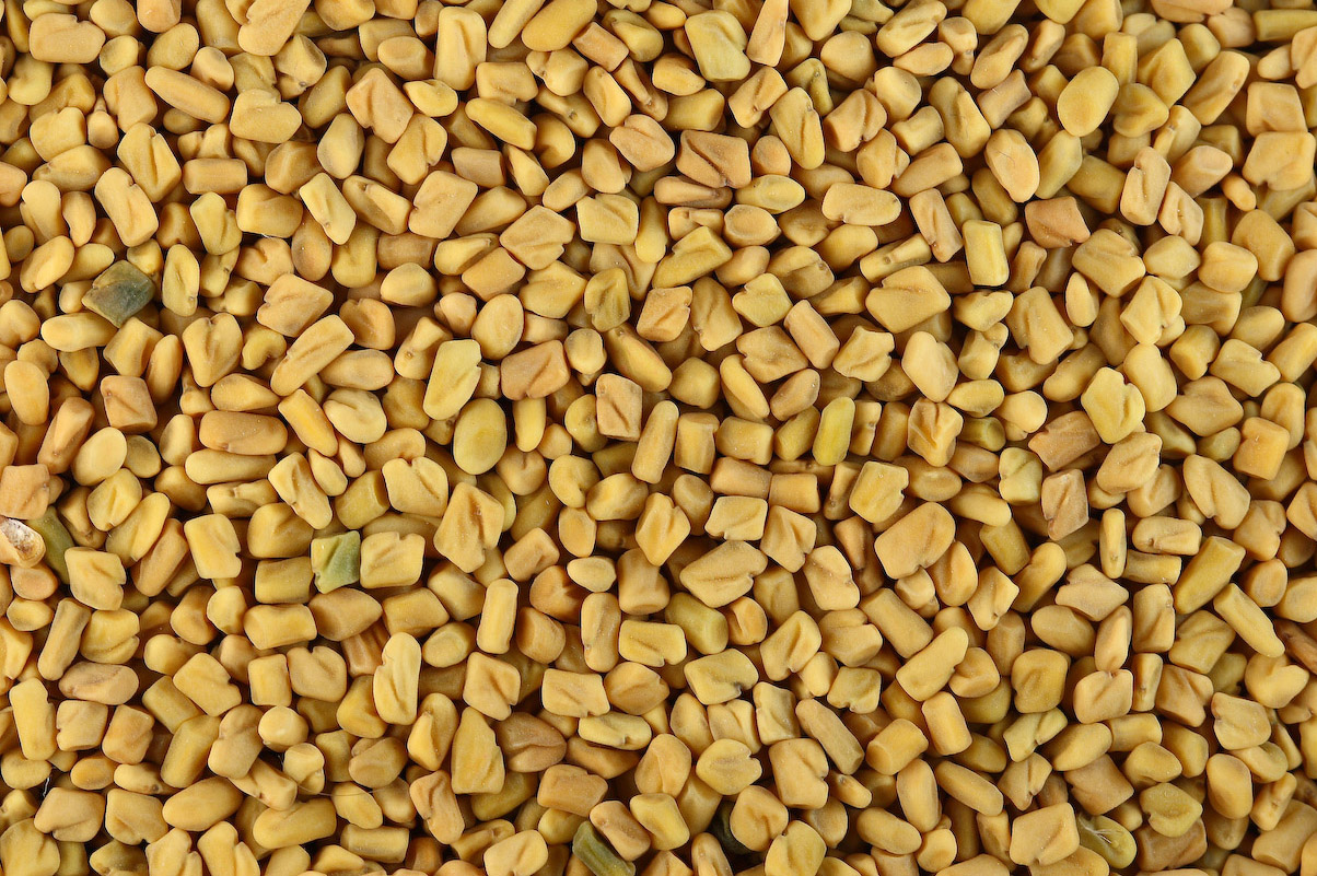 Organic Fenugreek