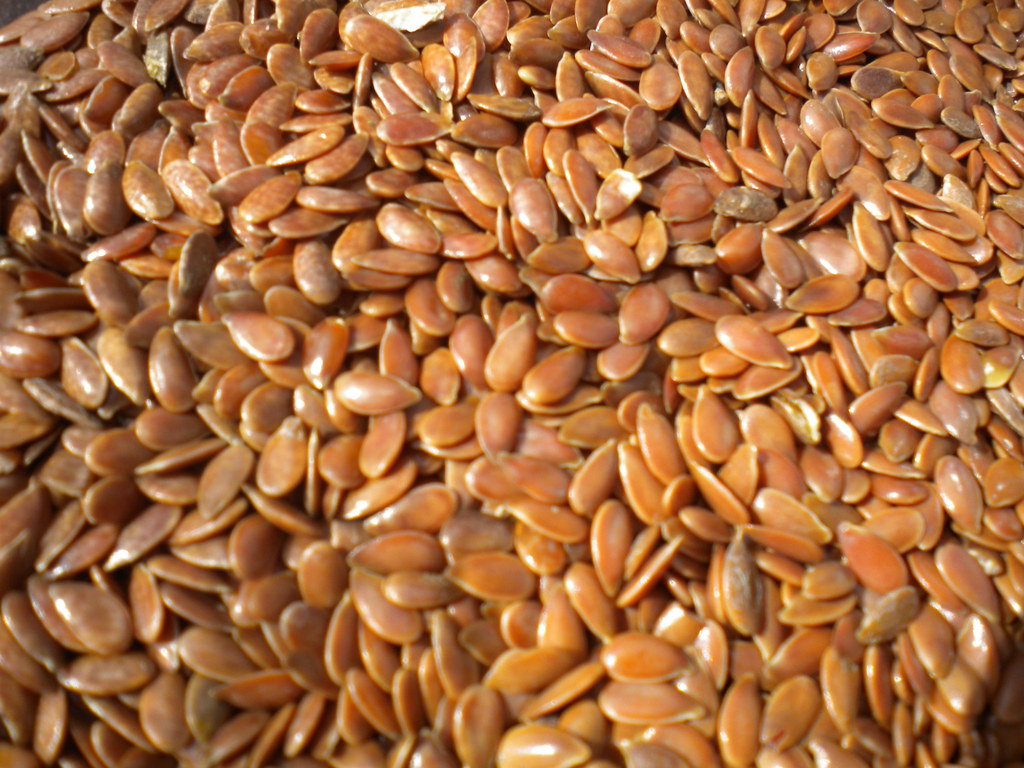 Organic Flax Seeds