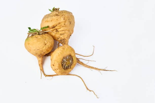 Organic Maca